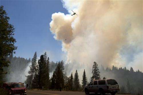 Squelching Sierra fires left forest ready to burn