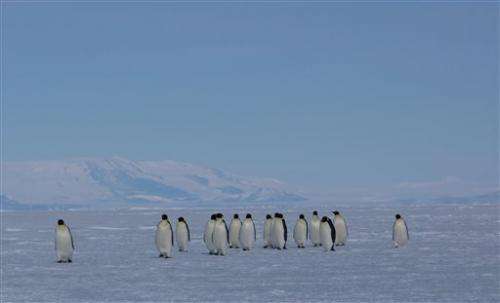 Deep Antarctic dig seeks pointers to sea level