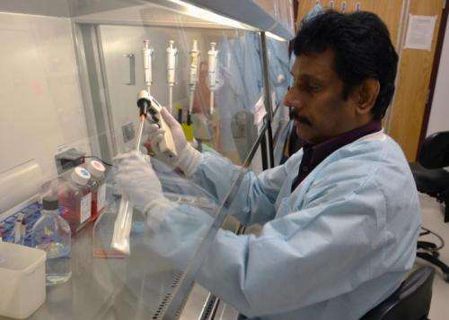 Researchers find avian virus may be harmful to cancer cells