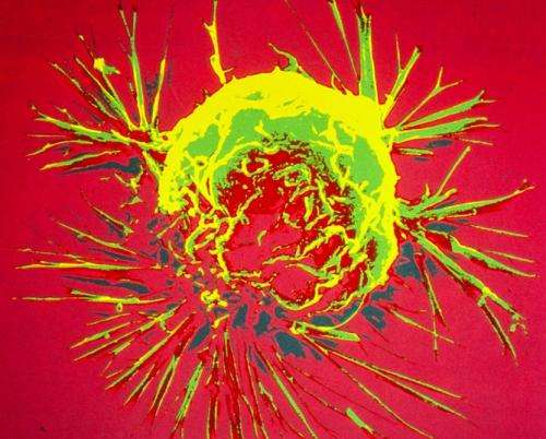 Evolutionary theory of cancer overlooks genetic research