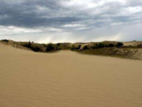 Image taken on September 1, 2013 shows sand dunes at Spirit Sands, located in the vast Spruce Woods Provincial Park