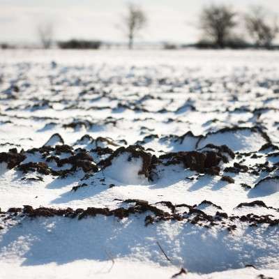 Scientists uncover the secret life of frozen soils