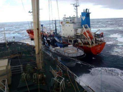 This picture taken February 20, 2013 shows the environmental group ship Sea Shepherd sandwiched at sea