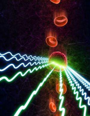 Researchers develop new type of fluorescent camera for blood diagnostics, brain mapping