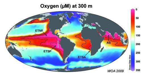 Scientists identify key factor that controls ocean nitrogen availability