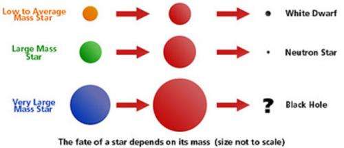 Explainer: What are stars?