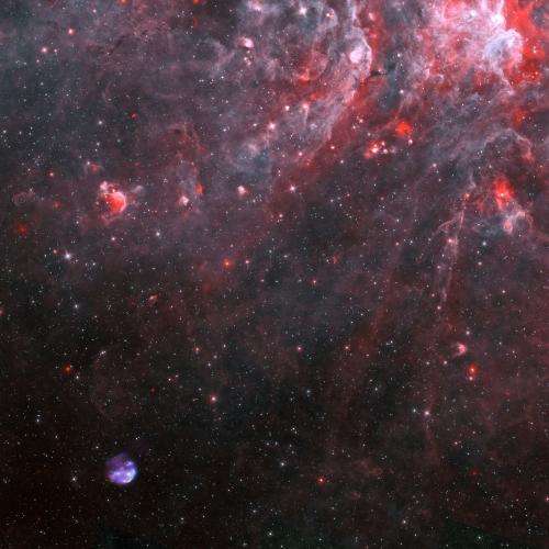NASA's Swift, Chandra explore a youthful 'star wreck'