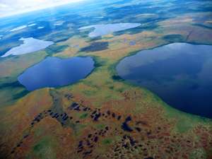 Research finds Hudson Bay Lowlands have undergone enormous environmental changes in the past two decades