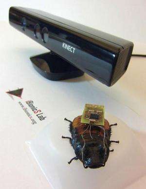 Researchers use video game tech to steer roaches on autopilot