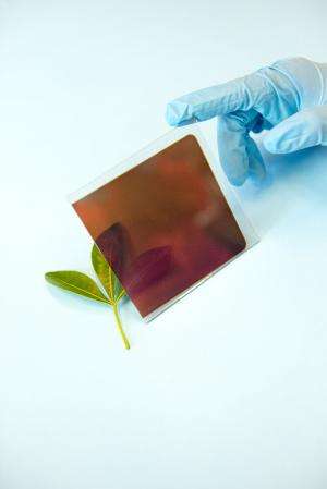 Team of physicists find perovskite can be used in conventional solar cell architecture
