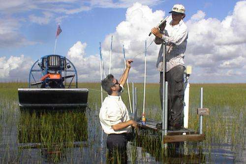 Abrupt climate shift may have altered Everglades 2,800 years ago