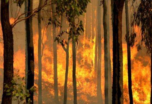A bushfire burns out of control in the Kiewa Valley, Australia, on February 10, 2009