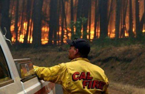 A Cal Fire firefighter looks on as the Rim Fire burns through trees on August 25, 2013 near Groveland, California