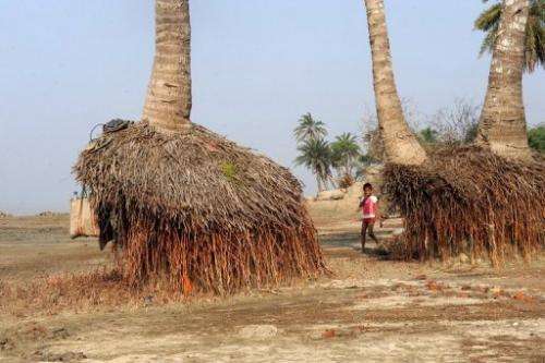 A child plays near the roots of palm trees exposed due to erosion on Ghoramara Island, India, on December 11, 2009