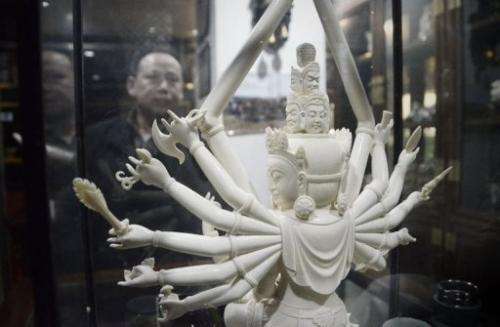 A Chinese man looks at an ivory Buddha carving at a shop in Beijing on February 20, 2013
