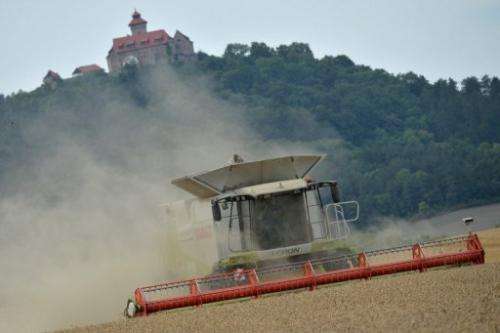 A combine harvester at Holzhausen, eastern Germany, on August 21, 2013