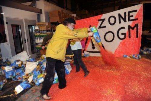 Activists rip open bags of MON 810 GM maize at a Monsanto site in Trebes near Carcassonne, France on January 23, 2012