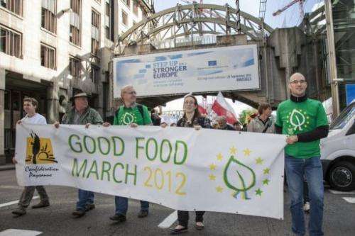 A delegation of European farmers and Friends of the Earth Europe march outside EU buildings, Brussels, September 19 2012