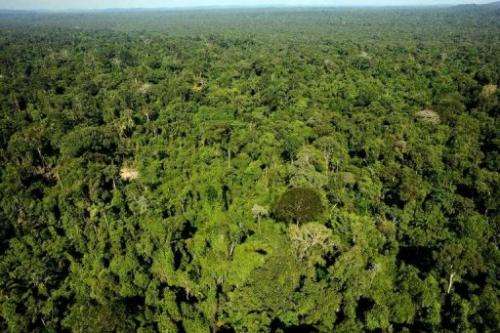 Aerial view of the Amazonic forest reserve of Trairao, western Para state, northern Brazil on December 4, 2011