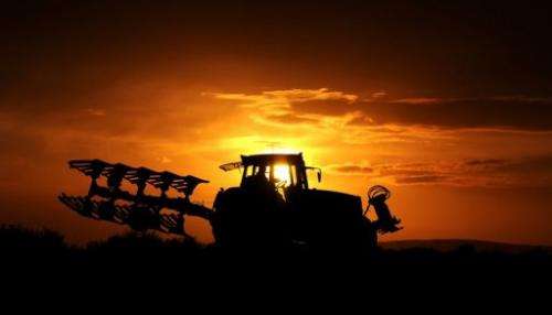 A farmer drives a tractor through a field as the sun sets in the northern German town of Pattensen on October 13, 2012