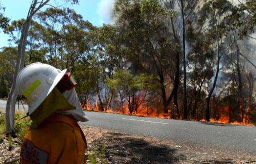 A firefighter monitors a back burn near Mount Victoria in the Blue Mountains on October 21, 2013