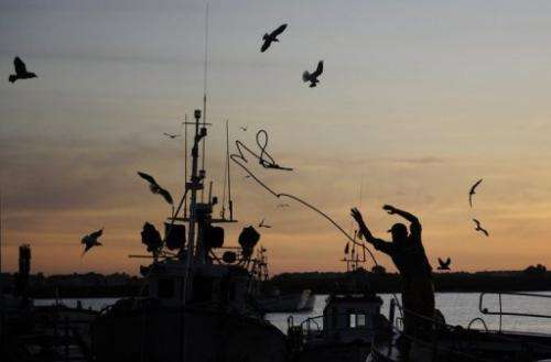 A fishing boat anchors at the fishing port of Isla Cristina, southern Spain, on December 15, 2011