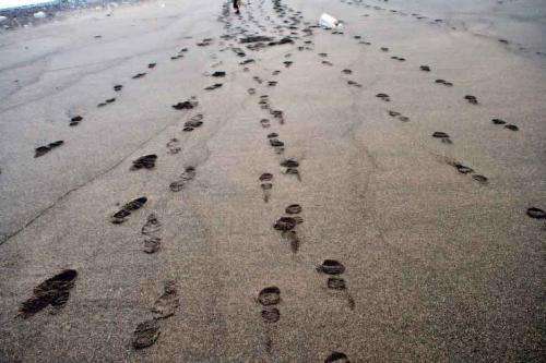 A formula that can calculate a person's speed by just looking at their footprints