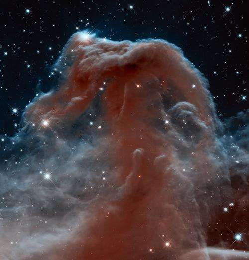 A fresh take on the Horsehead Nebula