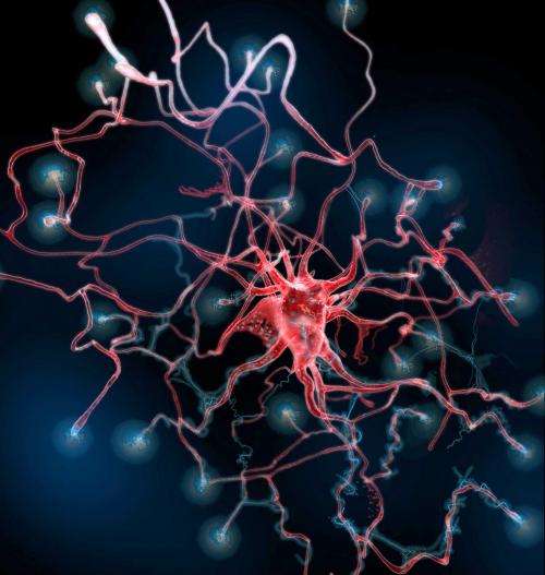 After brain injury, new astrocytes play unexpected role in healing
