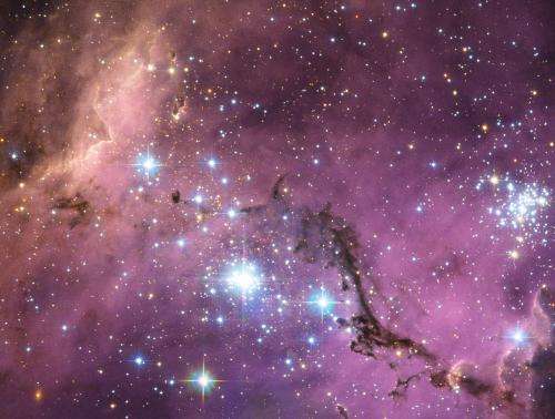 A hidden treasure in the Large Magellanic Cloud