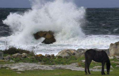 A horse grazes as waves hit the coast of Spain on January 22, 2013