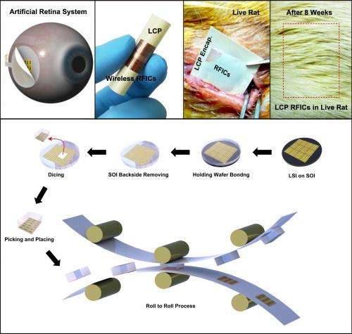 A KAIST research team developed in vivo flexible large scale integrated circuits