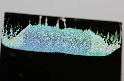 A layer of tiny grains can slow sound waves
