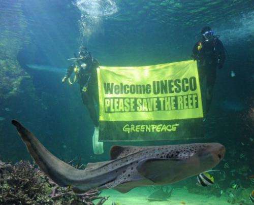 A leopard shark swims past Sydney Aquarium divers urging UNESCO to save the Great Barrier Reef on March 5, 2012