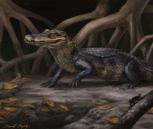 Alligator relatives slipped across ancient seaways