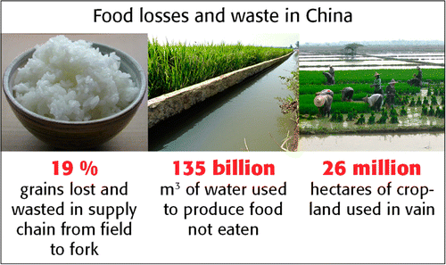 Almost 20 percent of grain in China lost or wasted from field to fork