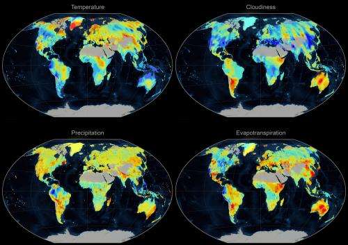 A look at the world explains 90 percent of changes in vegetation