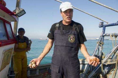 A man on August 16, 2013 holds shellfish from where Gibraltar dropped concrete blocks (left) and from Algeciras Bay