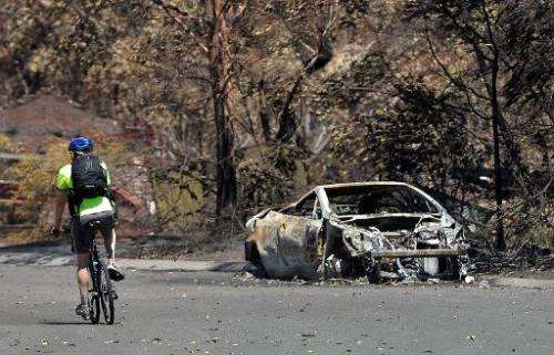 A man rides past a car burnt out by bush fires in Springwood in the Blue Mountains on October 23, 2013