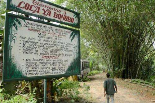 A man walks on March 6, 2013 past the entrance of a sanctuary outside Kinshasa for bonobos saved from  trafficking