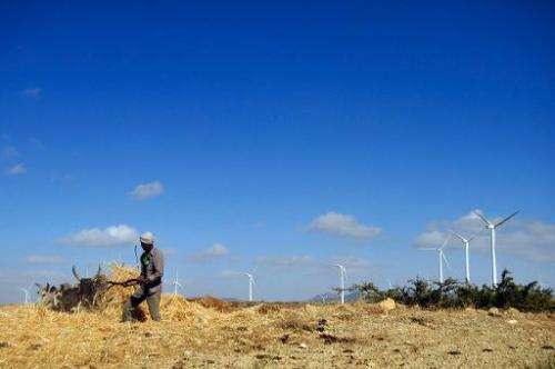 A man works along a road near turbines at Ashegoda wind farm in Ethiopia's northern Tigray region, on November 28, 2013