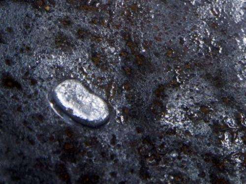 A marble of mercury is seen in Ouanary, French Guiana on April 18, 2010