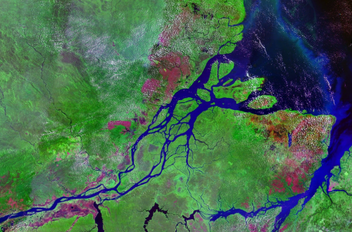 Amazon River exhales virtually all carbon taken up by rain forest