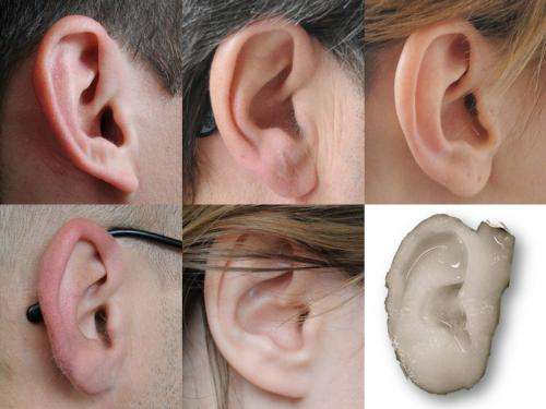 An ear with the right look and feel