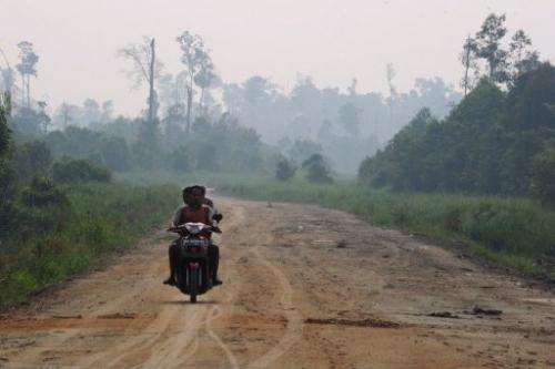 A new road leading to a protected peatland forest is seen covered by haze from  fires on Sumatra island, June 29, 2013