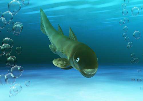 A new species of marine fish from 408 million years ago discovered in Teruel