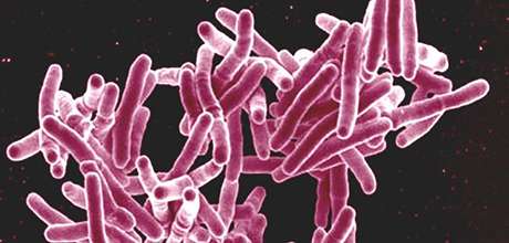 A new target in the fight against TB