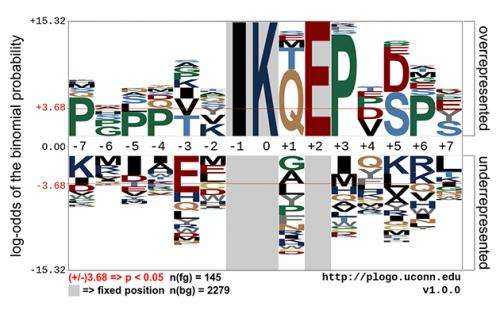 A new tool for visualizing DNA, protein sequences