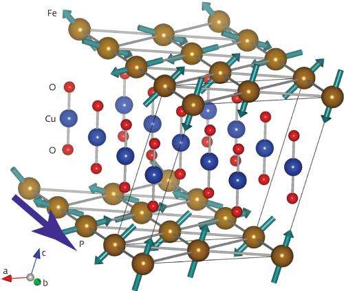 A new way in which magnetism and electric polarization are coupled has been discovered in CuFeO2