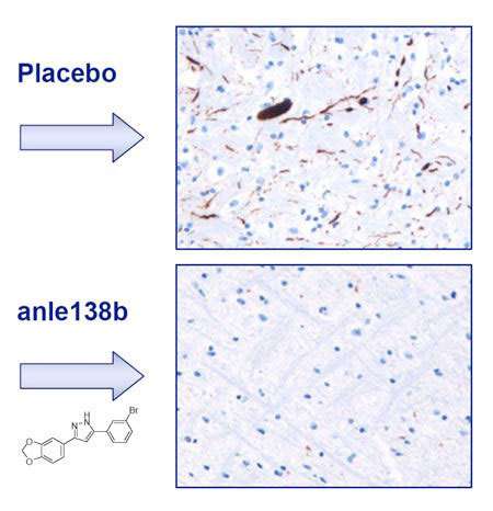 Anle138b prevents clumping of synunclein protein